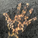 پارچه گیپور گل مشکی 831